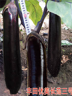 ����������������