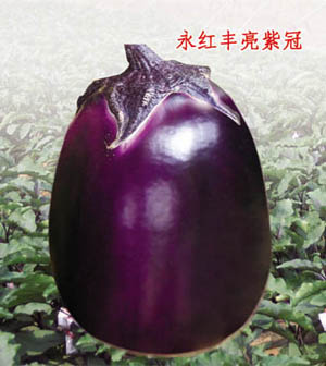 Ϲ