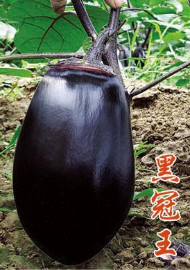 ڹ
